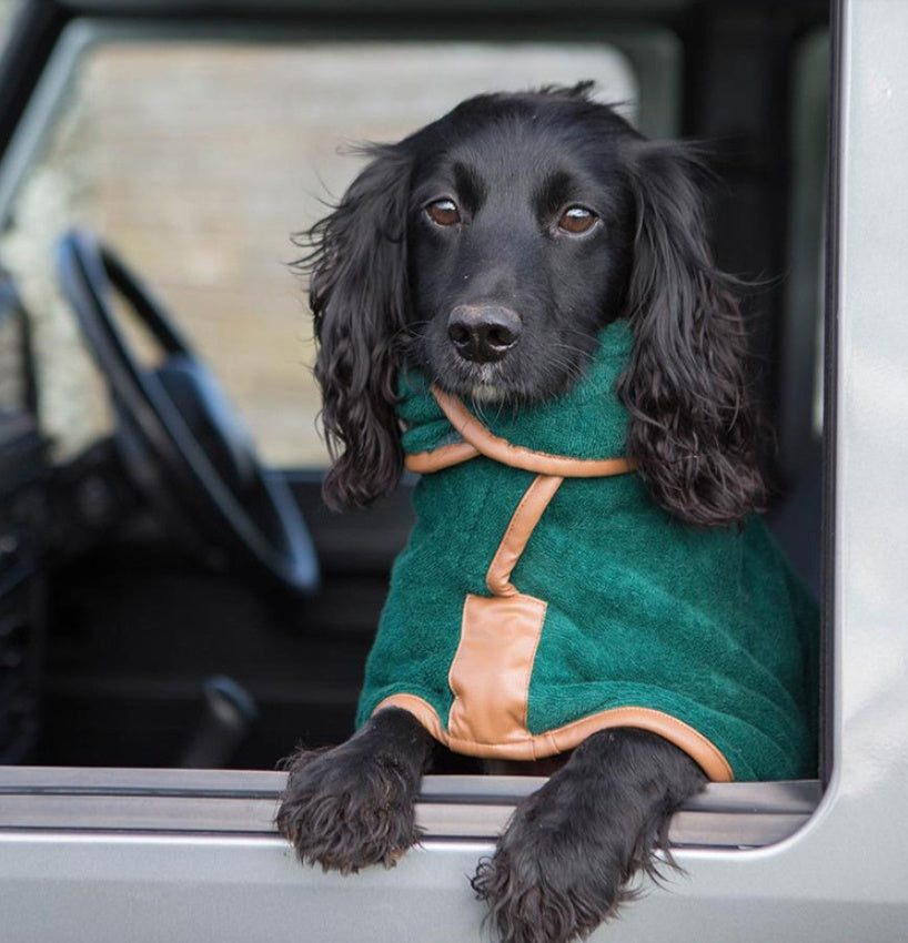 The Ultimate Solution for Drying Your Pet Quickly and Effectively