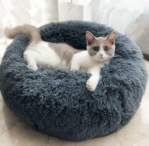 The Perfect Pet Bed for Your Furry Friend