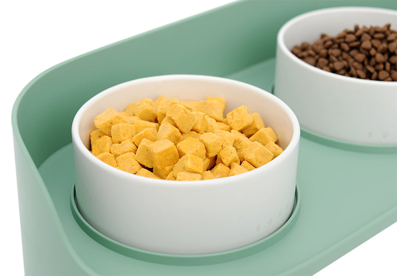 Elevate Your Pet's Dining Experience with the Ceramic Cat Bowl
