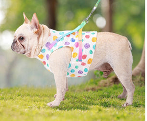 Enhance Your Dog's Walks with Our Chested Leash