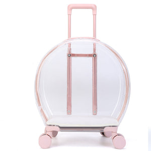 Why Every Cat Owner Needs the Pull Rod Transparent Cat Bag