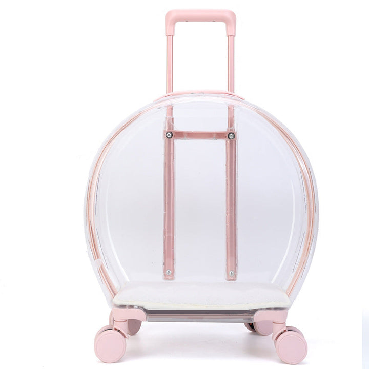 Why Every Cat Owner Needs the Pull Rod Transparent Cat Bag