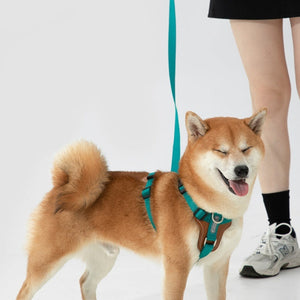 Discover the Okinawa Dog Leash: The Ultimate Companion for Your Furry Friend