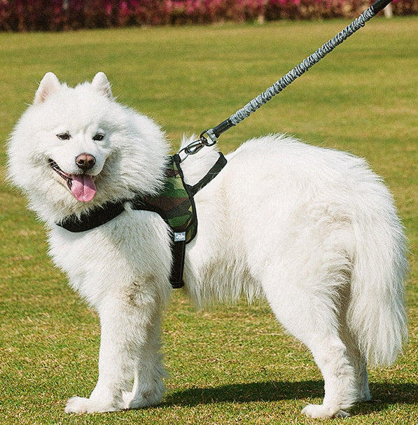 Unleash Adventure with Our Chest Harness Dog Leash