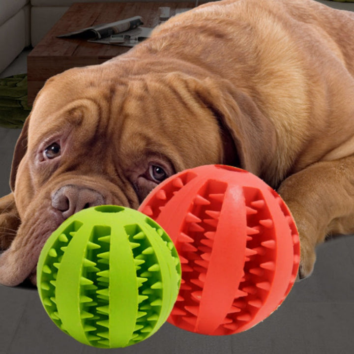 Why the Pet Dog Resistant Molar Stick Puppy Ball is a Must-Have for Your Dog
