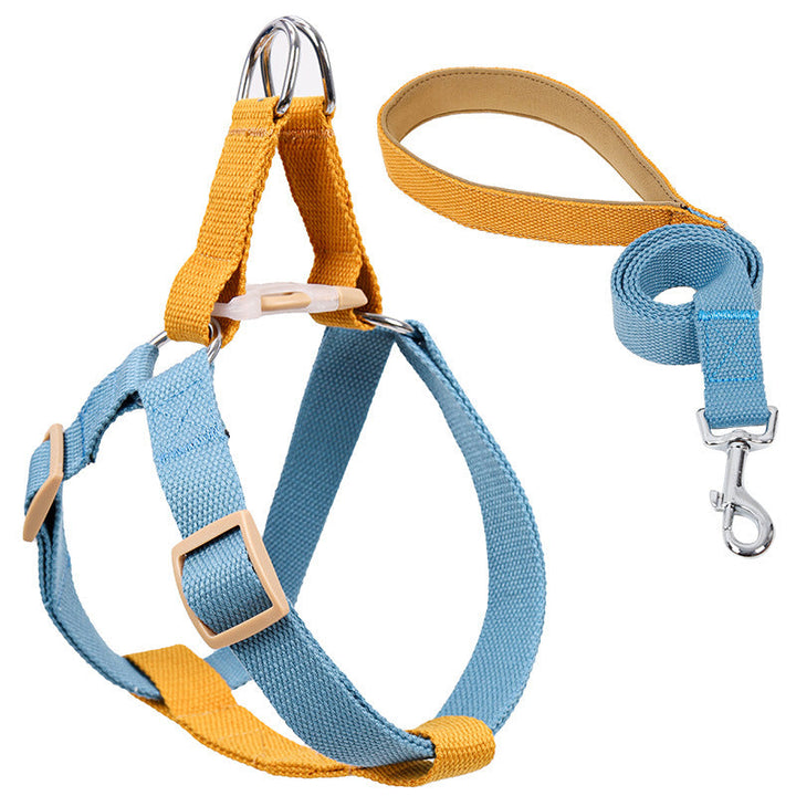 Discover the Perfect Leash for Your Furry Friend!