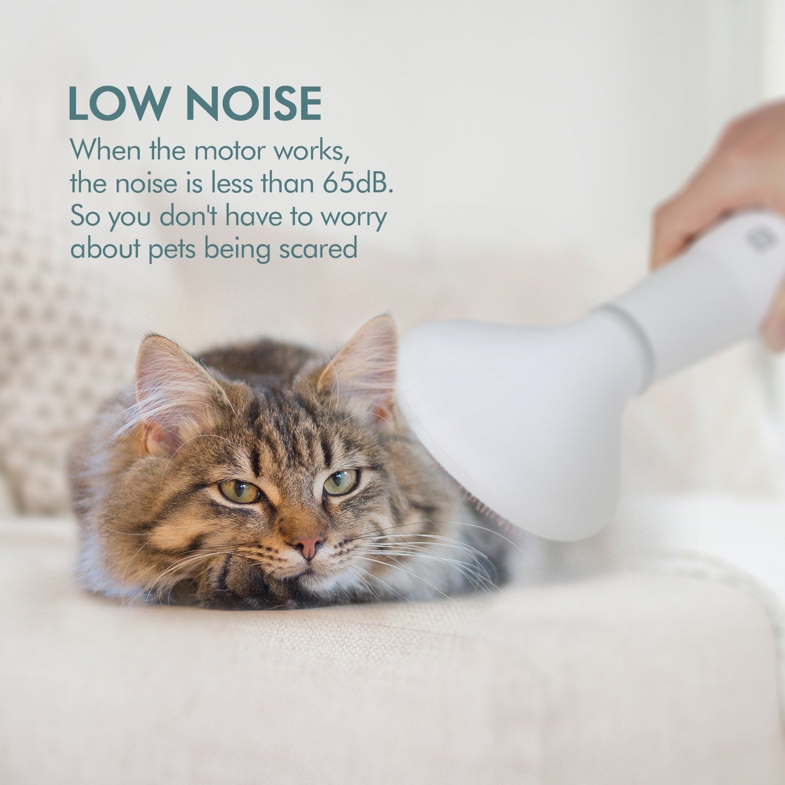 The Ultimate Grooming Tool for Your Furry Friend