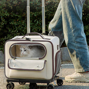 The Ultimate Travel Companion for Your Feline Friend