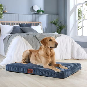 Choosing the Perfect Pet Bed