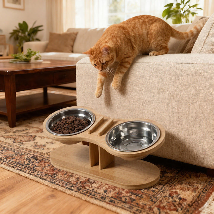 Enhance Your Pet's Dining Experience with Our Adjustable Tilted Pet Stand