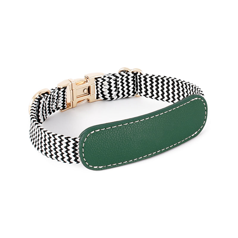 Pet Vest-style Hand Holding Rope