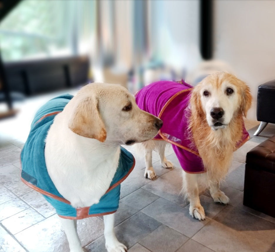 Pet Quick-Drying Absorbent Clothes Towel Bath