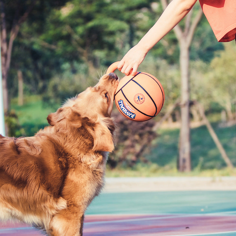 Jianbao Ball Dog Toy Bite Resistant Pet Toy