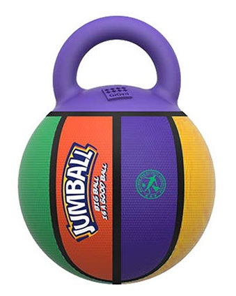 Jianbao Ball Dog Toy Bite Resistant Pet Toy