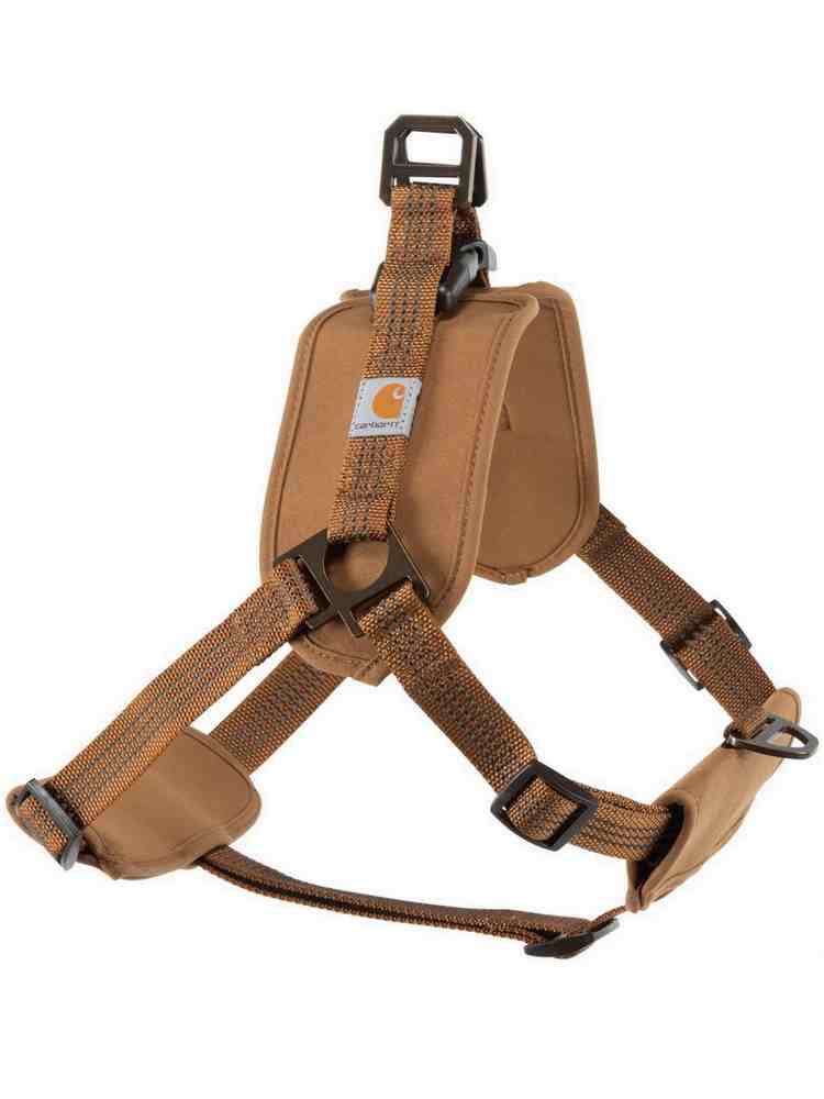Tooling Chest Strap Dog Safety Training