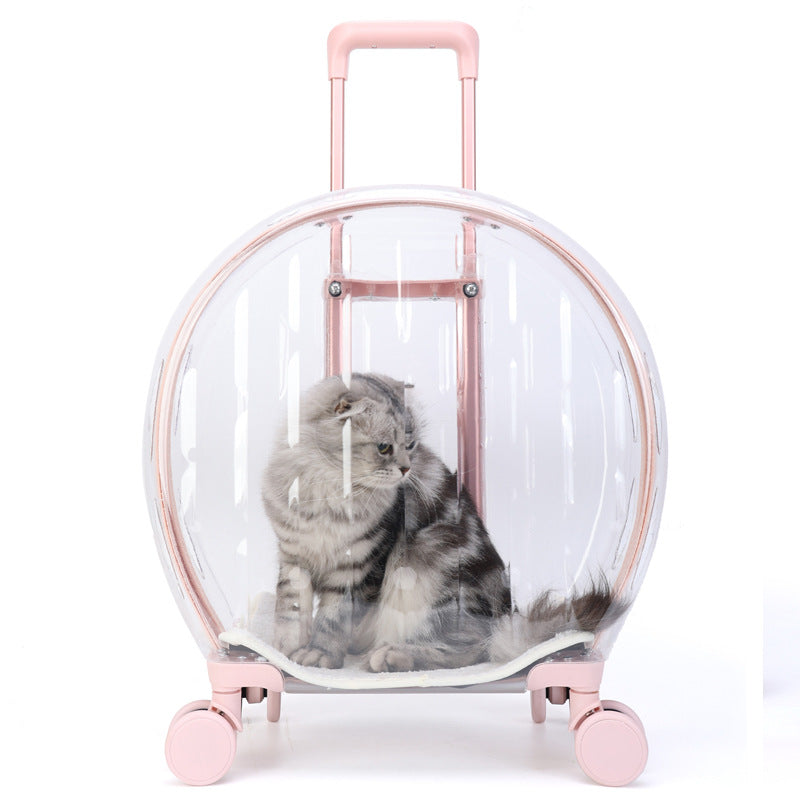 Pull Rod Transparent Cat Bag