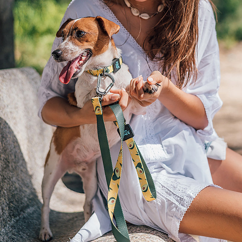 Ribbon Printing Traction Rope Dog