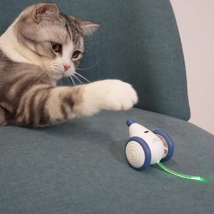 Cat Electric Mouse Cat Toy Boredom Artifact