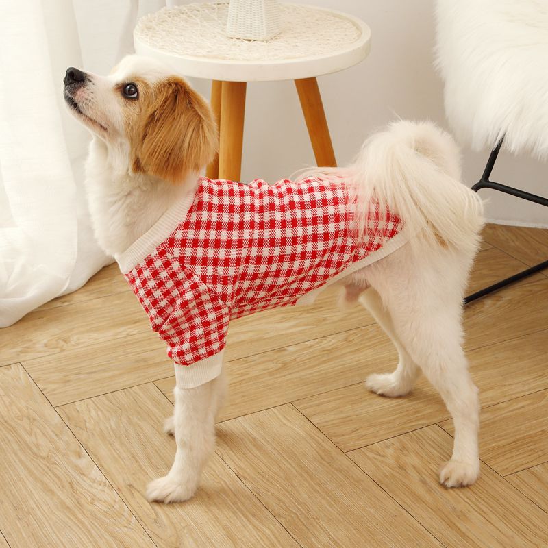 Windproof Fashion Sweater Dog Clothes