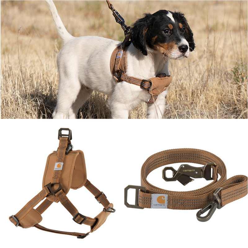 Tooling Chest Strap Dog Safety Training