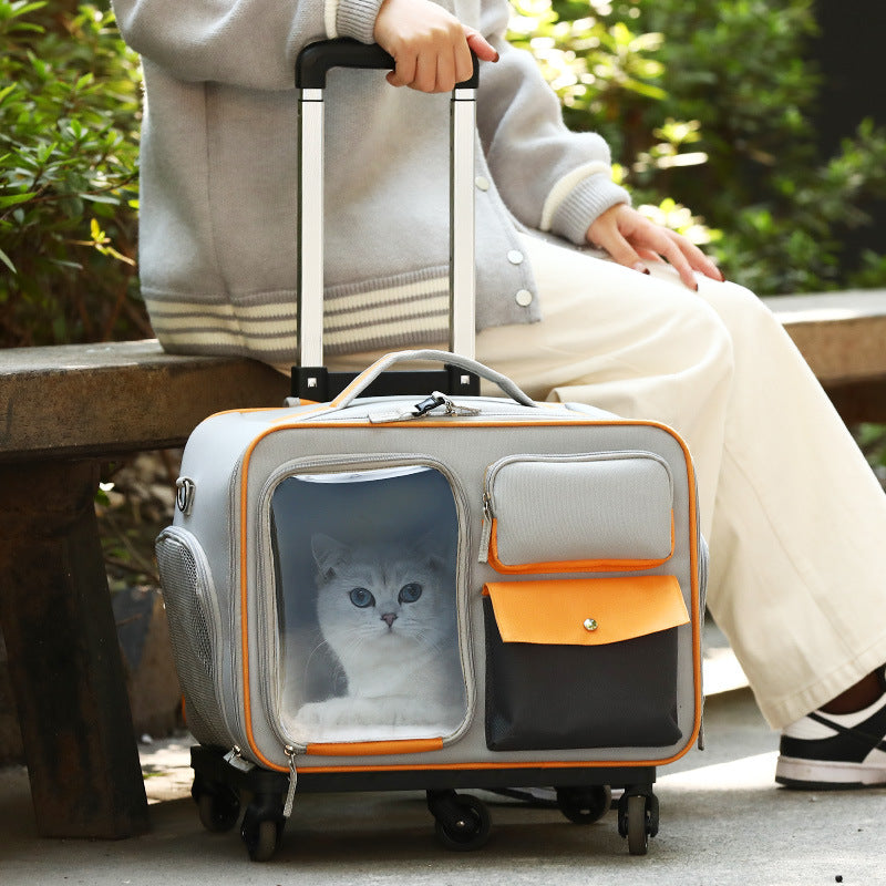 Cat Bag Going Out Pet Trolley Bag