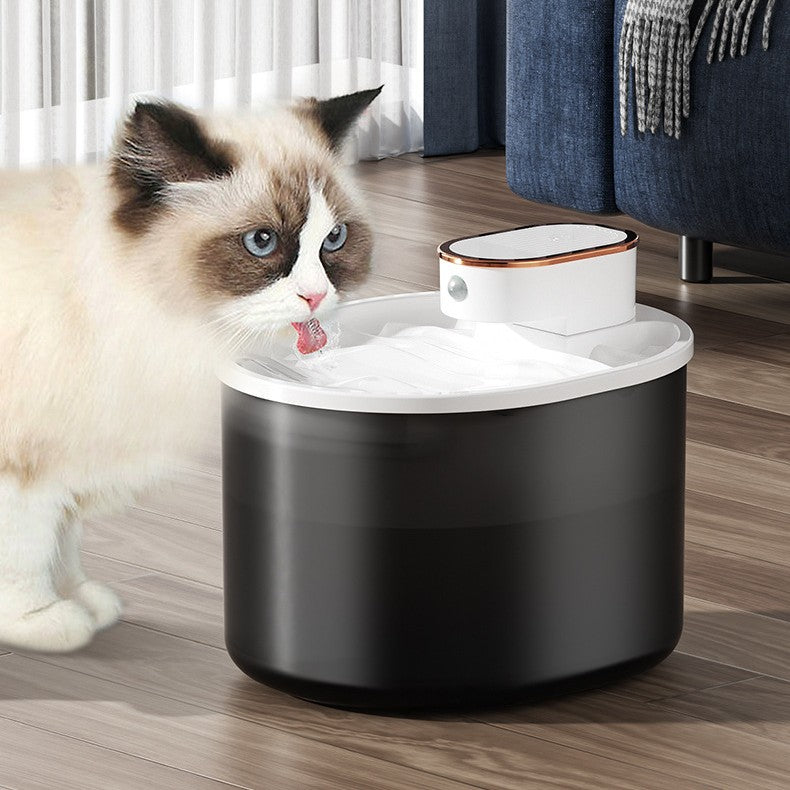 Wireless Pet Water Dispenser Large Capacity