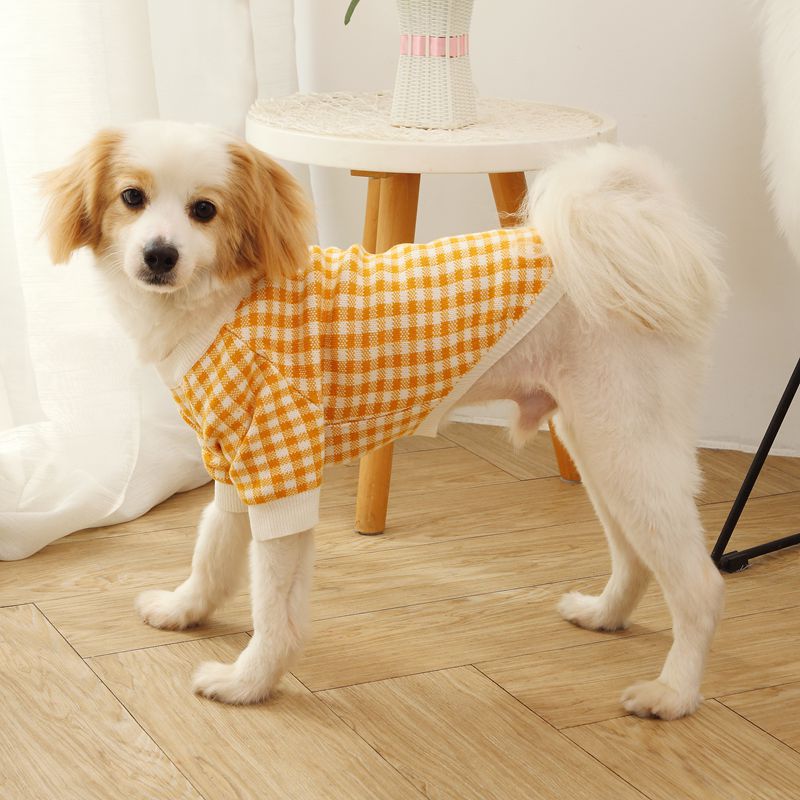 Windproof Fashion Sweater Dog Clothes