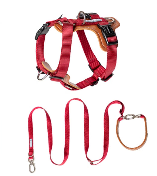 Dog Rope Leash Okinawa Dog Leash