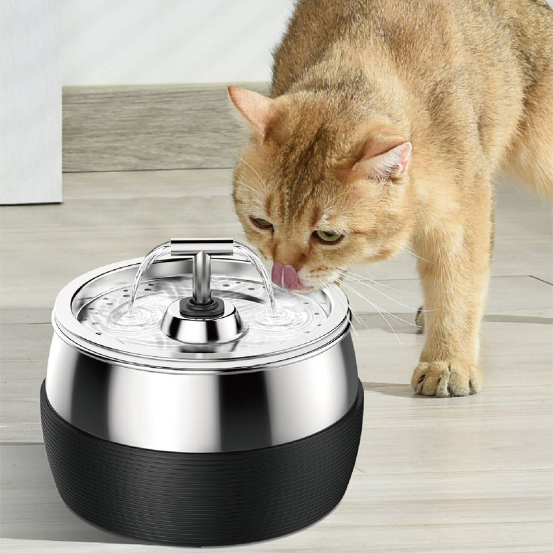 New Cat Water Dispenser Lock