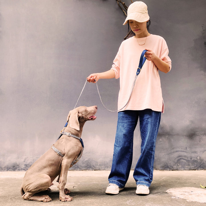 Pet Vest-style Hand Holding Rope