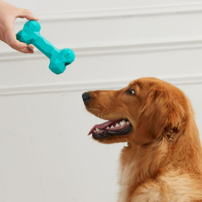 Bite Resistant Rubber Bone Toy