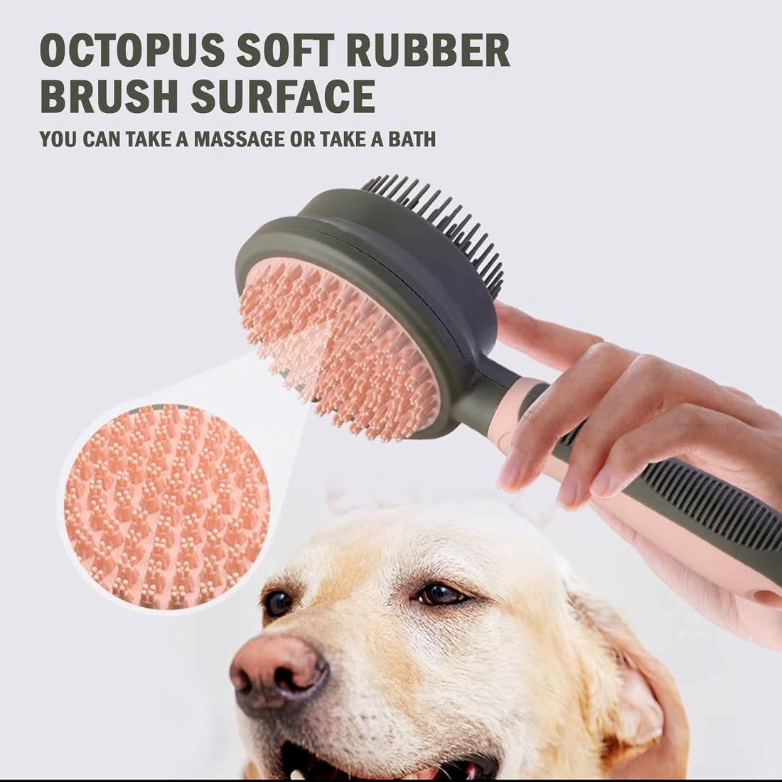 2 In 1 Double Side Cat Brushes For Indoor