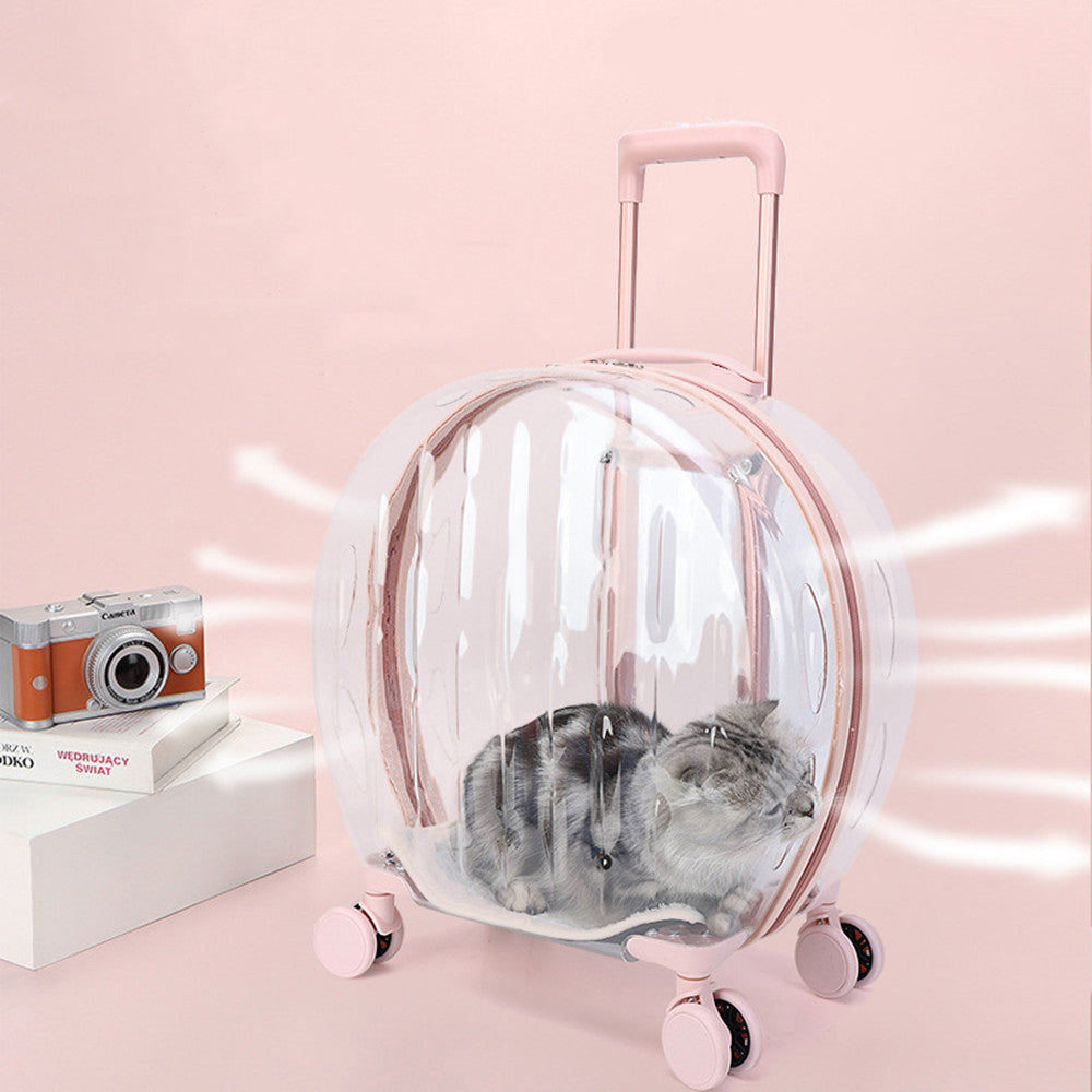 Pull Rod Transparent Cat Bag