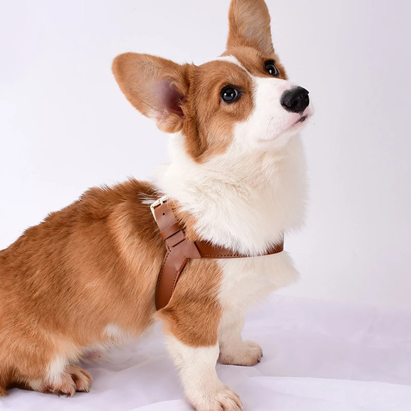 Summer Pet Dog And Cat Vest Type