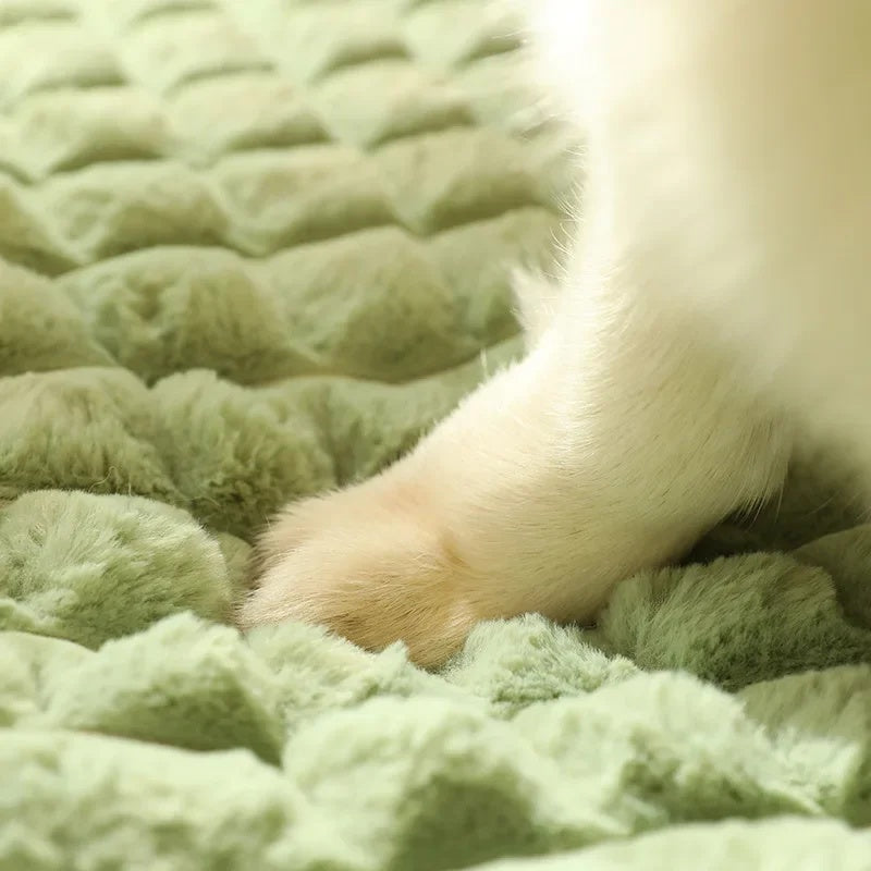 Warm And Comfortable Dog Mat For Autumn