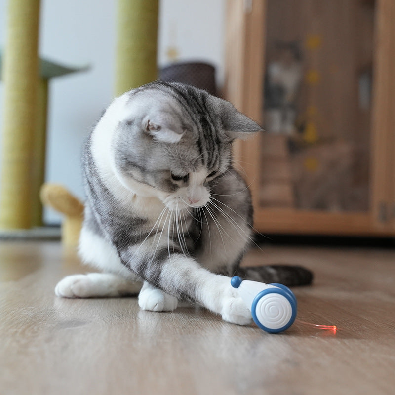 Cat Electric Mouse Cat Toy Boredom Artifact