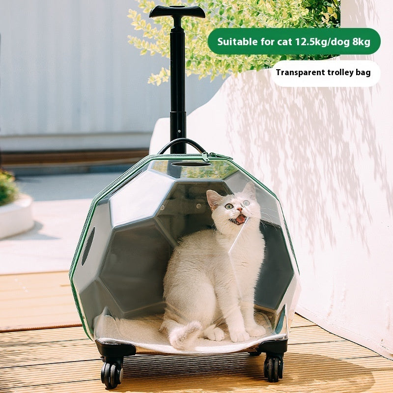 Large Dog Suitcase Trolley Space Capsule