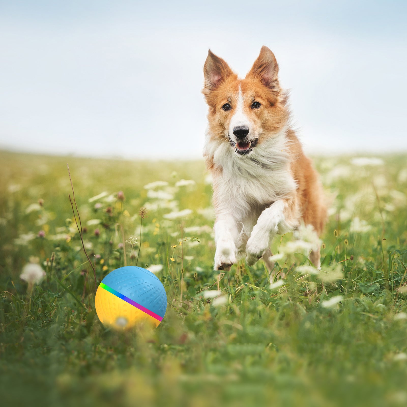 Remote Control Anti-stuffy Intelligent Toy Ball