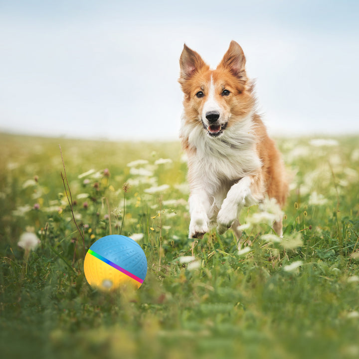 Remote Control Anti-stuffy Intelligent Toy Ball